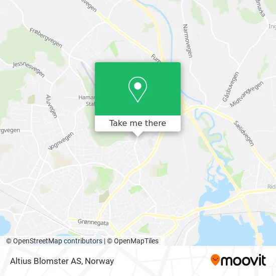 Altius Blomster AS map