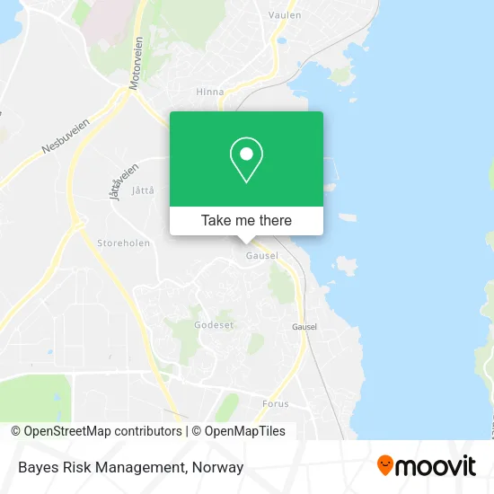 Bayes Risk Management map