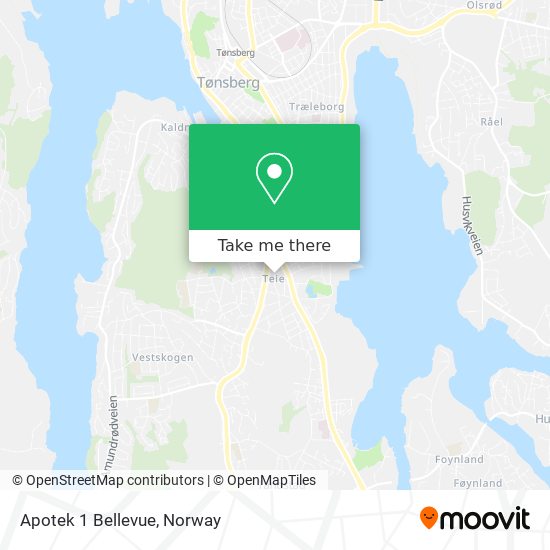 Apotek 1 Bellevue map
