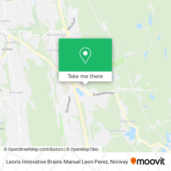 Leon's Innovative Brains Manuel Leon Perez map