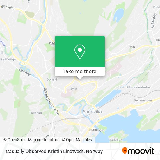 Casually Observed Kristin Lindtvedt map