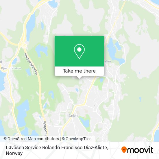 Løvåsen Service Rolando Francisco Diaz-Aliste map