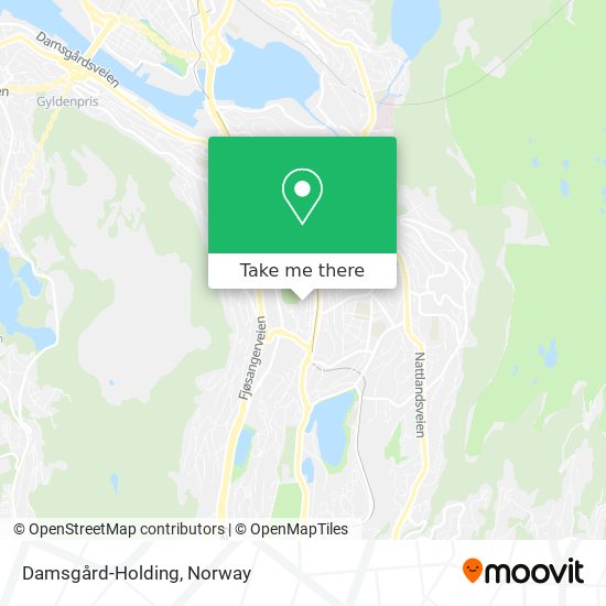 Damsgård-Holding map