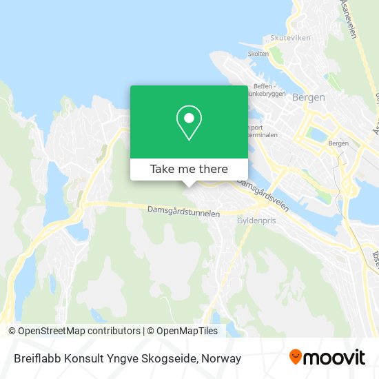 Breiflabb Konsult Yngve Skogseide map