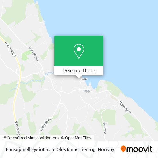 Funksjonell Fysioterapi Ole-Jonas Liereng map