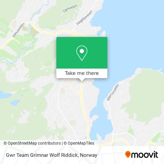 Gwr Team Grimnar Wolf Riddick map