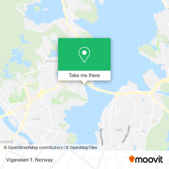 Vigeveien 1 map