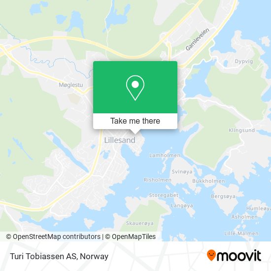 Turi Tobiassen AS map