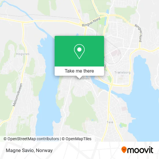 Magne Savio map