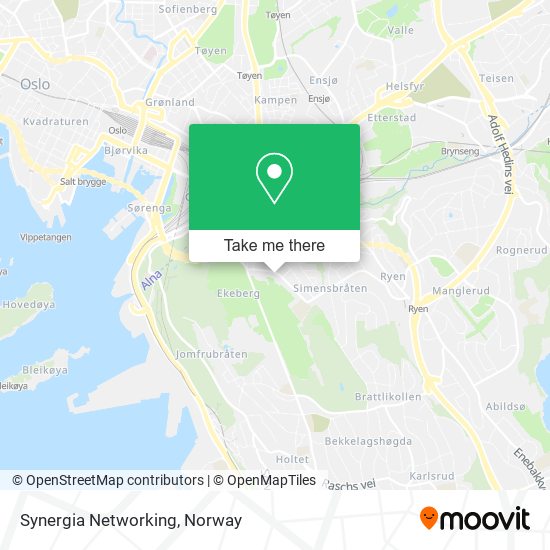 Synergia Networking map