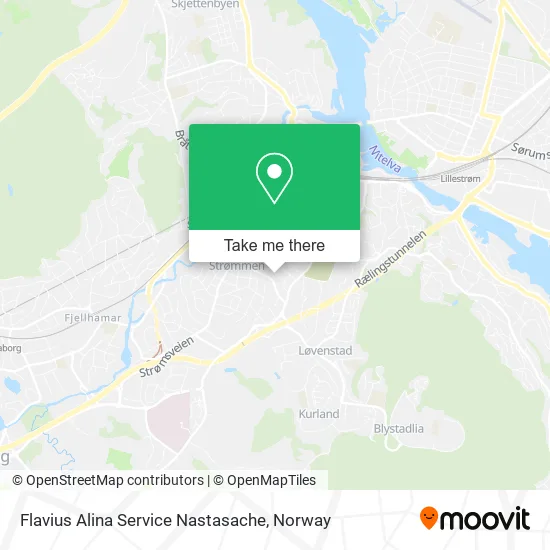 Flavius Alina Service Nastasache map