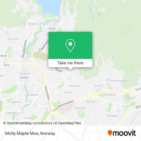 Molly Maple Moe map