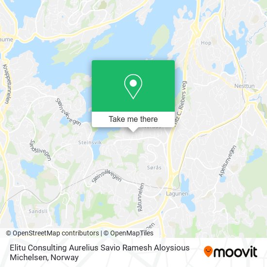 Elitu Consulting Aurelius Savio Ramesh Aloysious Michelsen map