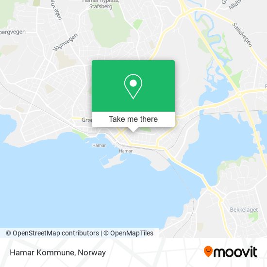 Hamar Kommune map