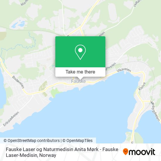 Fauske Laser og Naturmedisin Anita Mørk - Fauske Laser-Medisin map