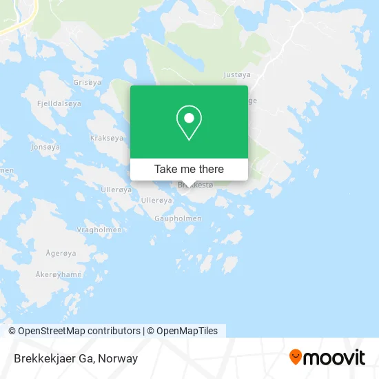 Brekkekjaer Ga map