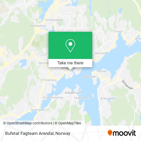 Bufetat Fagteam Arendal map