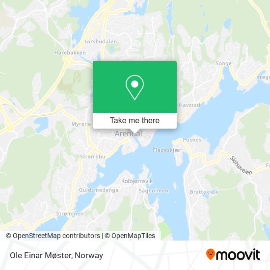 Ole Einar Møster map