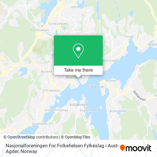 Nasjonalforeningen For Folkehelsen Fylkeslag i Aust-Agder map