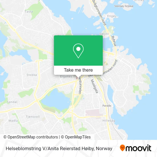 Helseblomstring V / Anita Reierstad Høiby map