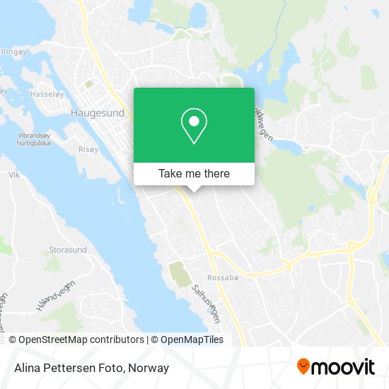 Alina Pettersen Foto map