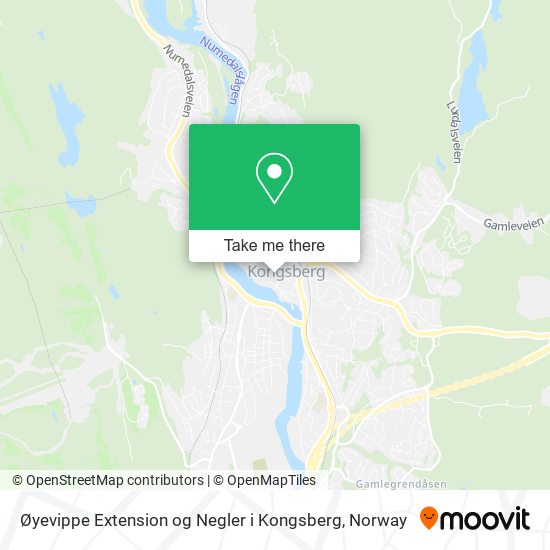 Øyevippe Extension og Negler i Kongsberg map