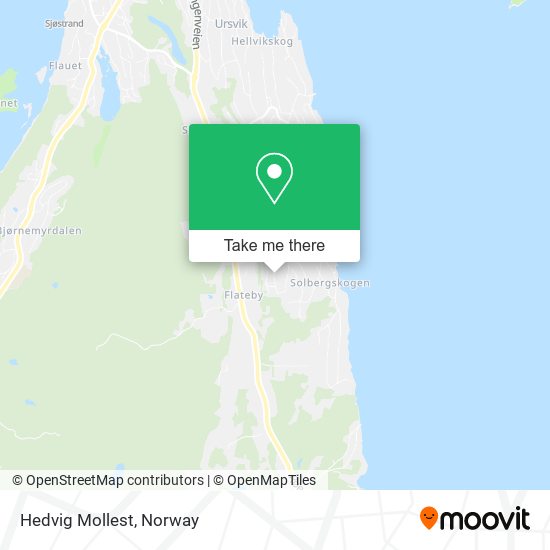Hedvig Mollest map