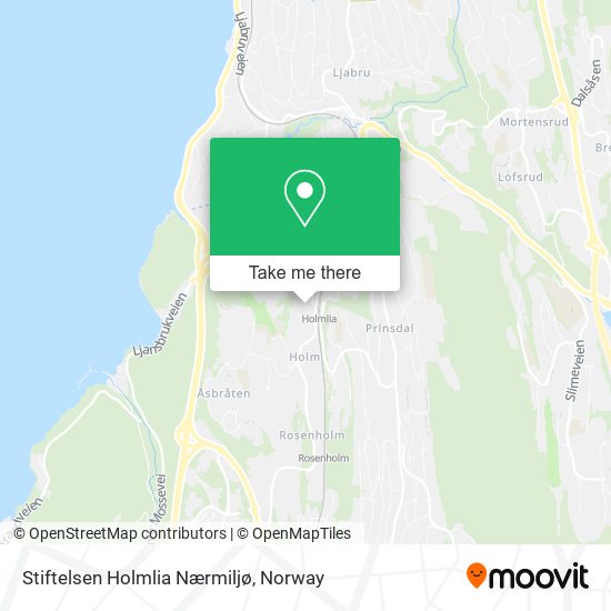 Stiftelsen Holmlia Nærmiljø map
