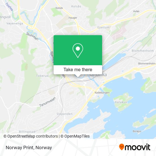 Norway Print map