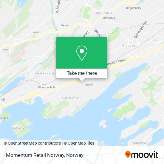 Momentum Retail Norway map