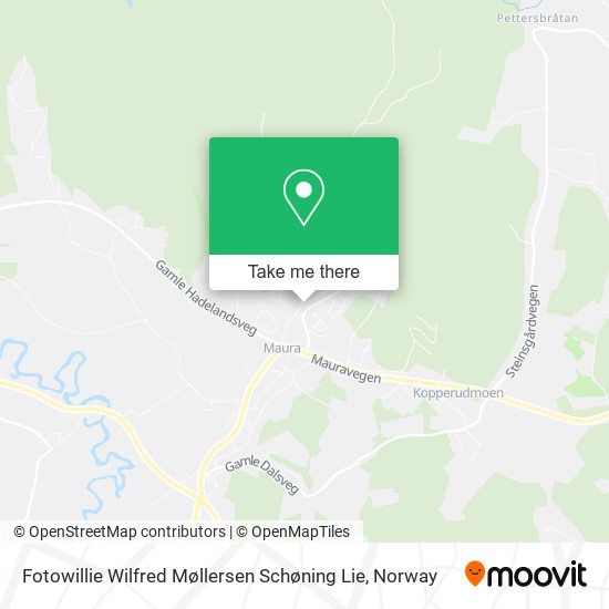 Fotowillie Wilfred Møllersen Schøning Lie map