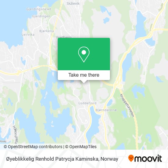 Øyeblikkelig Renhold Patrycja Kaminska map