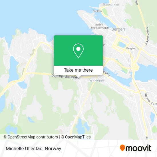 Michelle Ullestad map