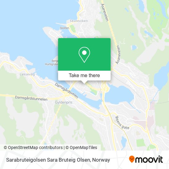 Sarabruteigolsen Sara Bruteig Olsen map