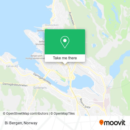 Bi Bergen map