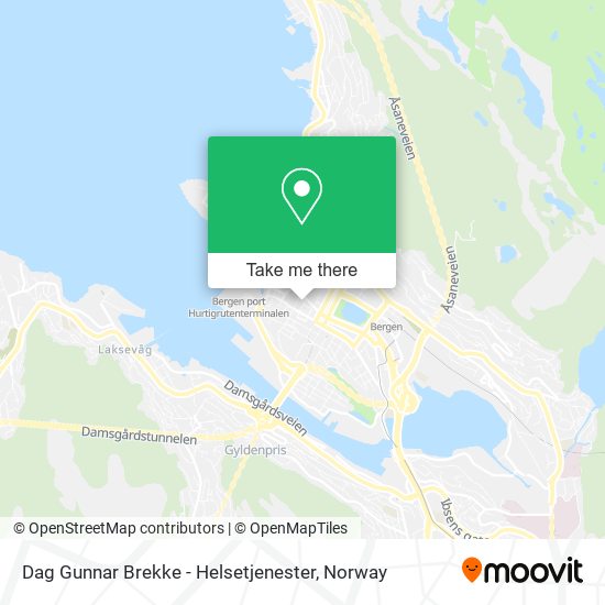 Dag Gunnar Brekke - Helsetjenester map