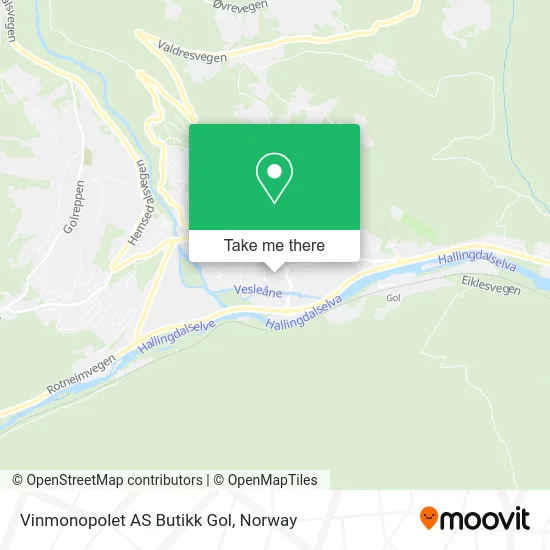 Vinmonopolet AS Butikk Gol map