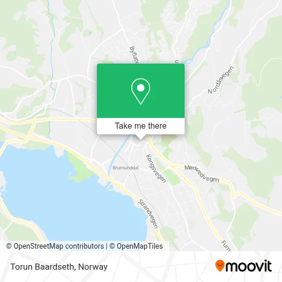 Torun Baardseth map