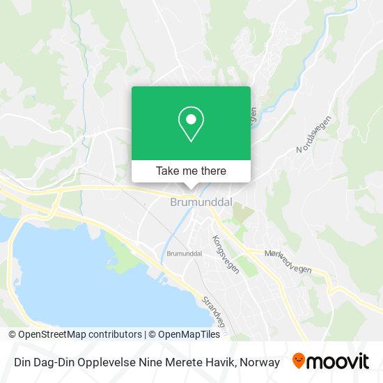 Din Dag-Din Opplevelse Nine Merete Havik map