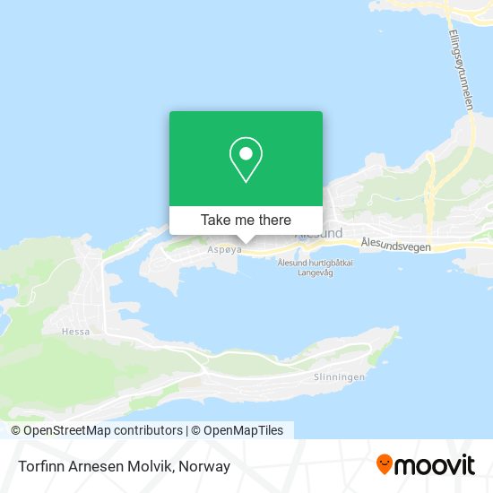 Torfinn Arnesen Molvik map