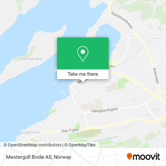 Mestergull Bodø AS map