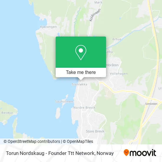 Torun Nordskaug - Founder Ttt Network map