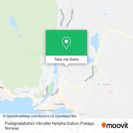 Pialagoalabata's Vårruller Nynpha Siaboc Pialago map
