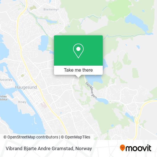 Vibrand Bjarte Andre Gramstad map