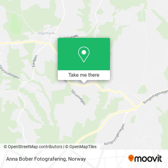Anna Bober Fotografering map