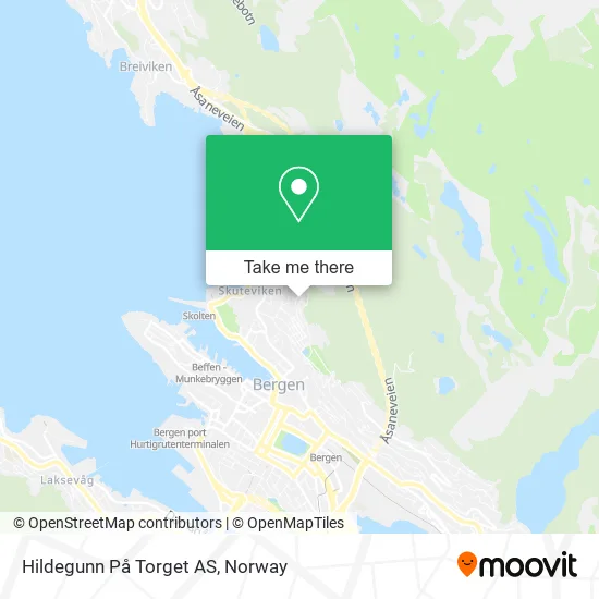 Hildegunn På Torget AS map