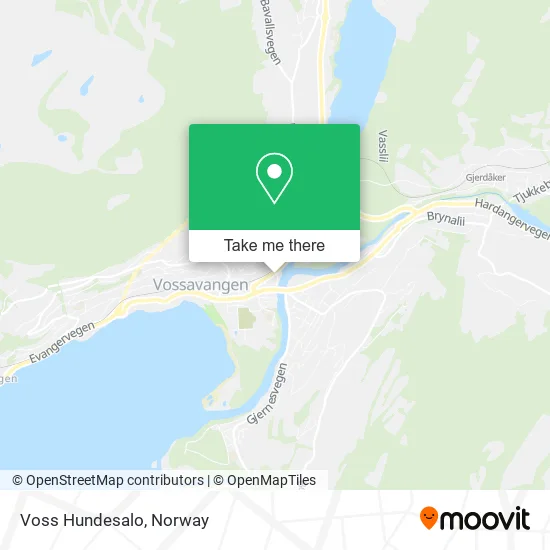 Voss Hundesalo map