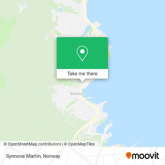 Synnove Martin map