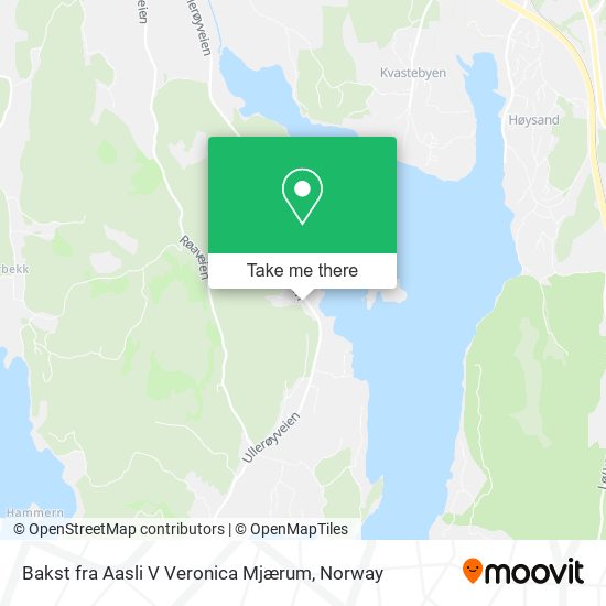 Bakst fra Aasli V Veronica Mjærum map