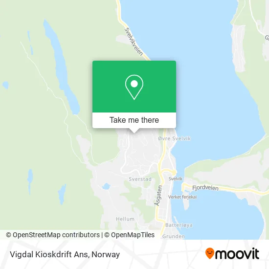 Vigdal Kioskdrift Ans map